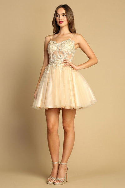 Cocktail Dresses A Line Prom Short Homecoming Corset Cocktail Dress Silver