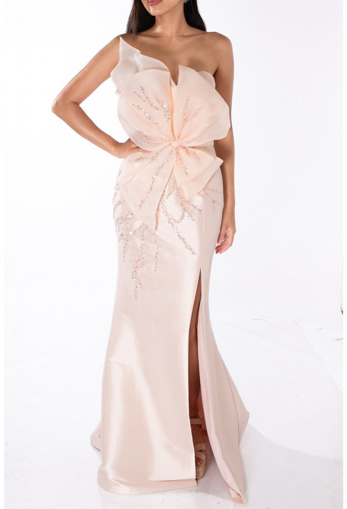 TERANI 241E2411 DRESS