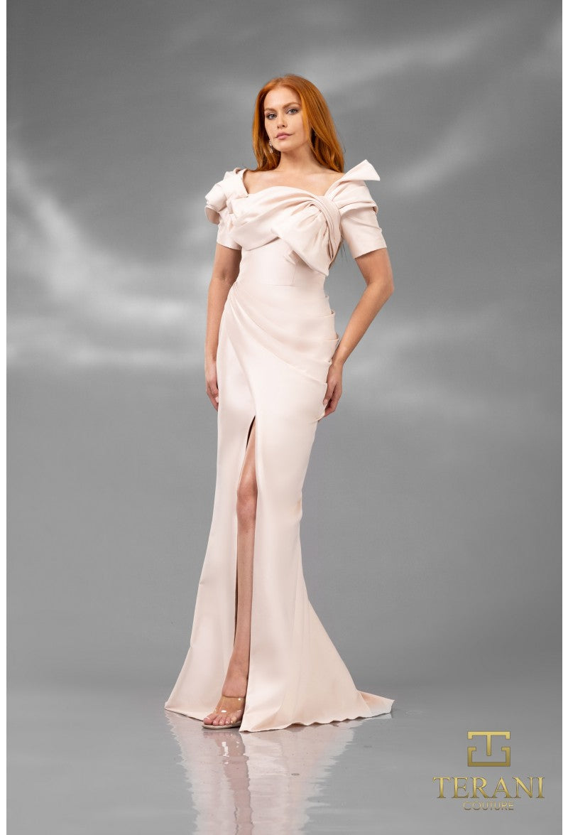 Terani Couture 241E2413 Elegant Fitted Long Formal Evening Gown