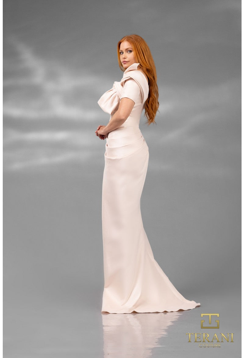 Terani Couture 241E2413 Elegant Fitted Long Formal Evening Gown