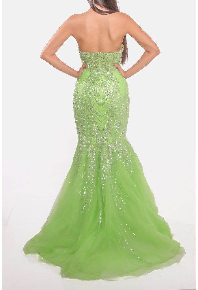 TERANI 241P2171 DRESS