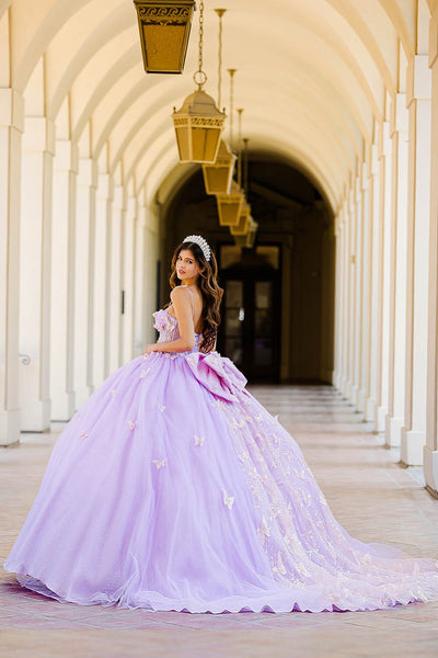 3D Butterfly Sheer Corset Ball Gown by Bella Princess PQ1032