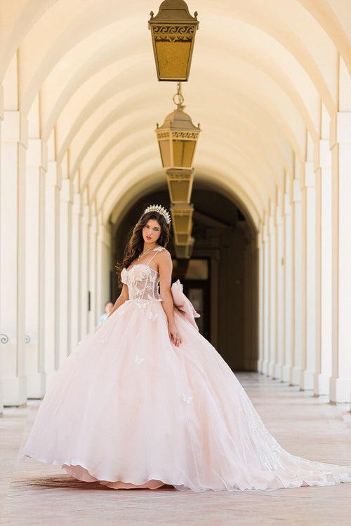 3D Butterfly Sheer Corset Ball Gown by Bella Princess PQ1032