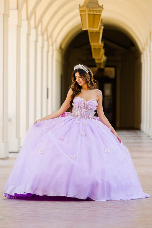 3D Butterfly Sheer Corset Ball Gown by Bella Princess PQ1032