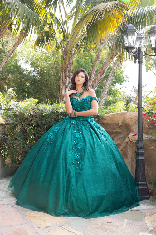 3D Floral Off Shoulder Ball Gown by Bella Princess PQ1002