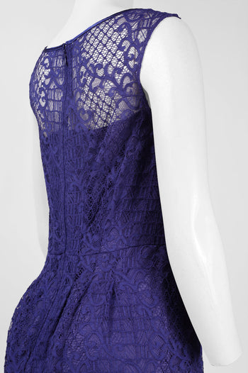 Adrianna Papell Illusion Neckline Lace Dress