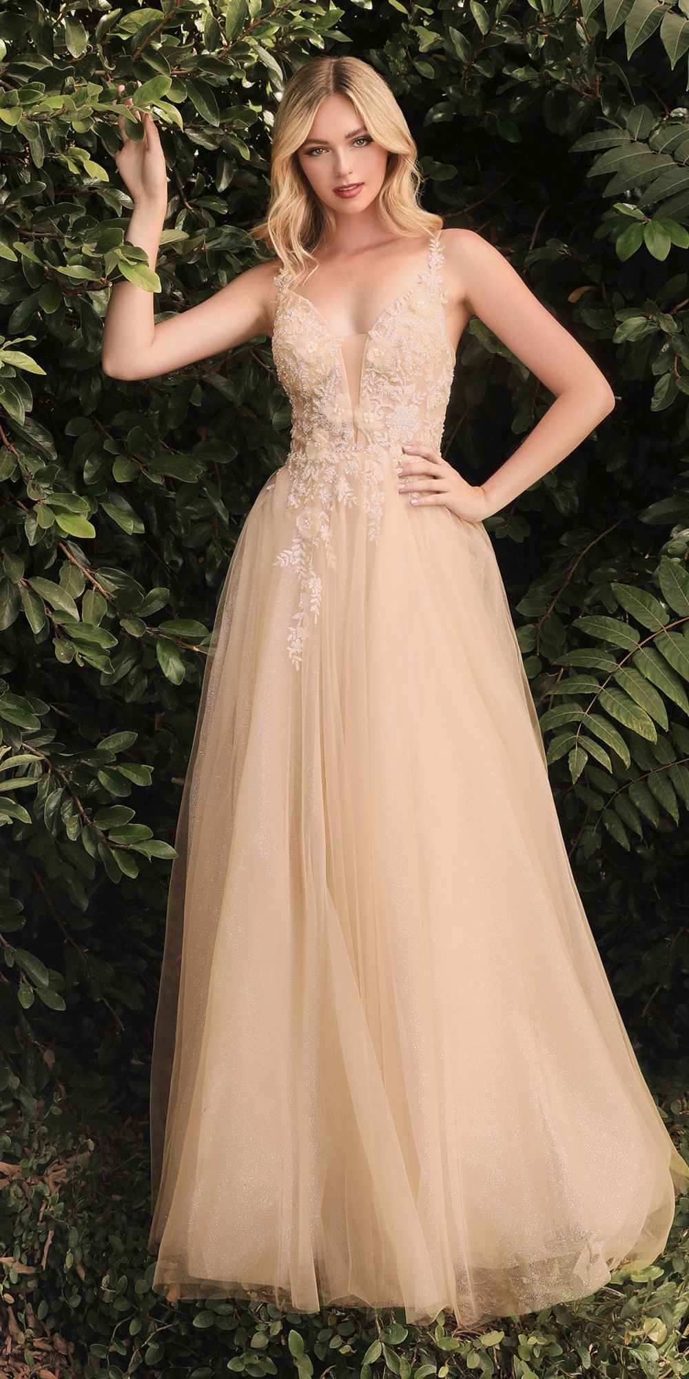 Cinderella Divine CB075 Dress