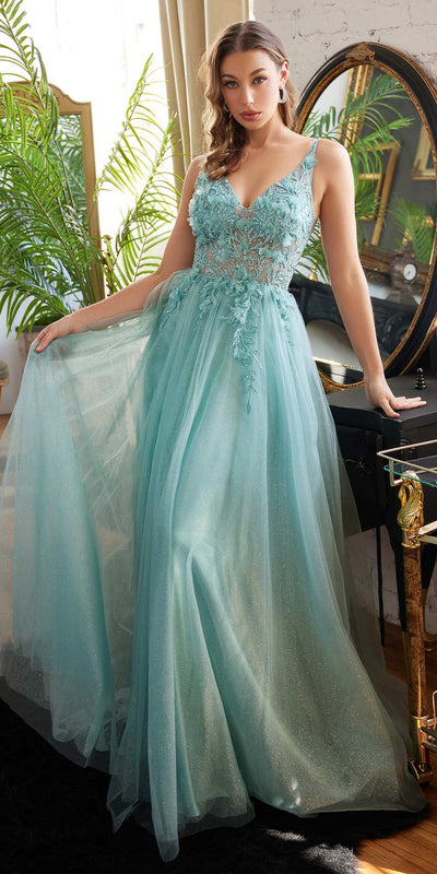 Elegant Champagne Lace Evening Dress