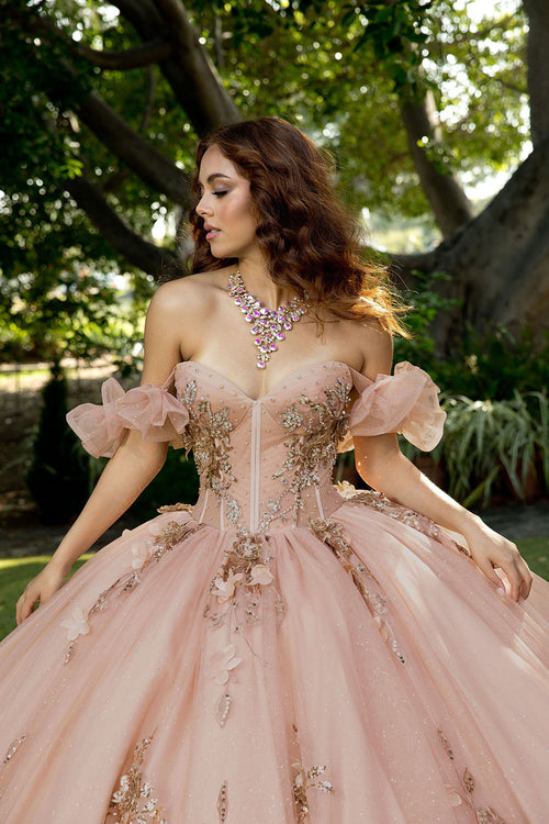 3D Floral Strapless Ball Gown by Bella Princess PQ1089