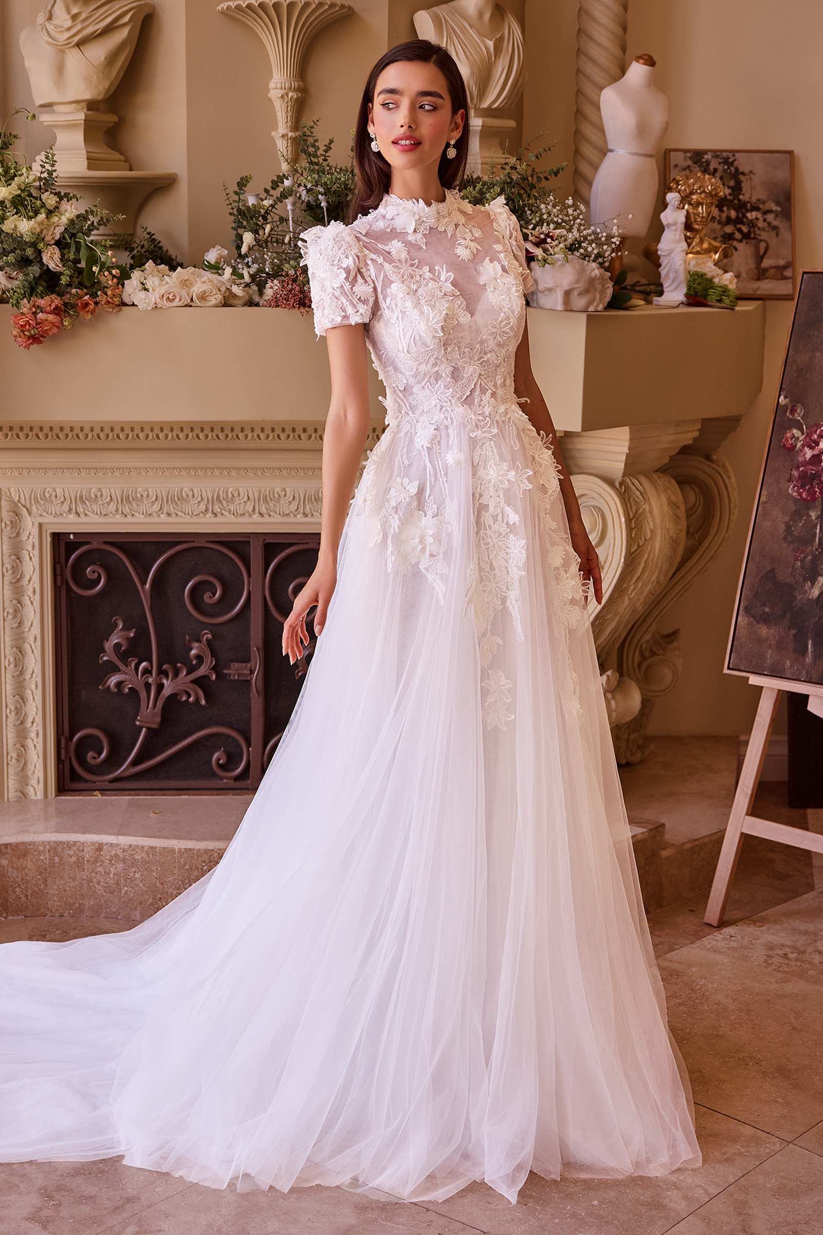 Ladivine WL040 Wedding Dress Two Looks-in-One Design