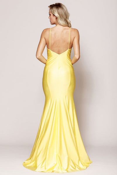 Deep V-neckline Bodycon Dress