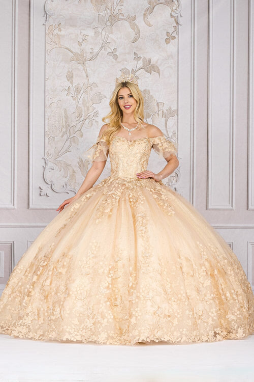 Butterfly Applique Off Shoulder Ball Gown by Bella Princess PQ1021