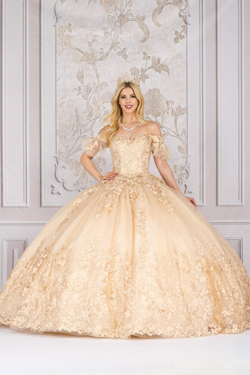 Butterfly Applique Off Shoulder Ball Gown by Bella Princess PQ1021
