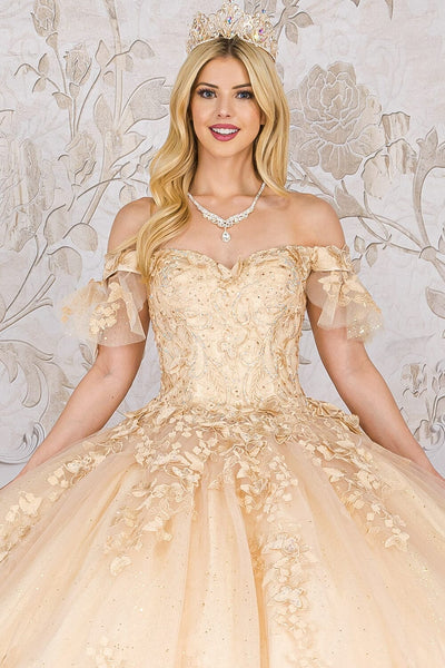 Butterfly Applique Off Shoulder Ball Gown by Bella Princess PQ1021