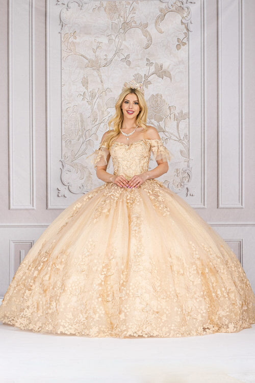 Butterfly Applique Off Shoulder Ball Gown by Bella Princess PQ1021