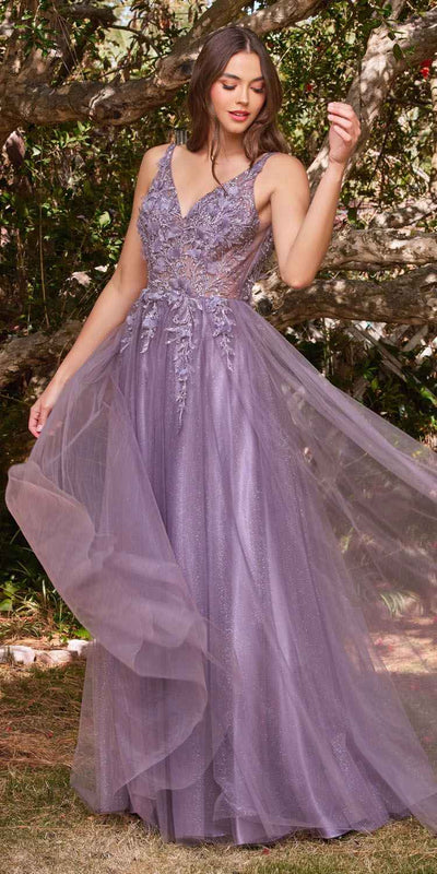 Elegant Champagne Lace Evening Dress