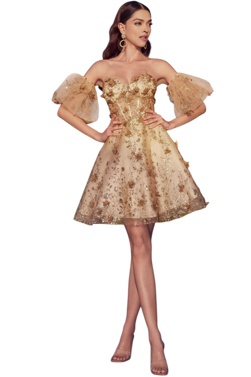 Cocktail Dress 2025 Sweetheart Corset Formal Evening Gown - Champagne / 4 - Prom