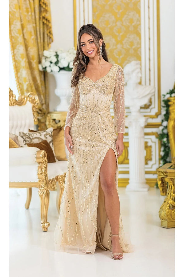 Dancing Queen Dresses DQ-4479 Long Prom Dress with Sparkling Details - Champagne / M - Dress