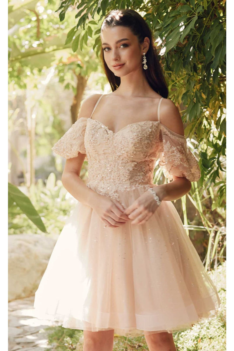 glitter off shoulder dress Off-Shoulder Short Sleeve by Juliet 886 Color_Cool