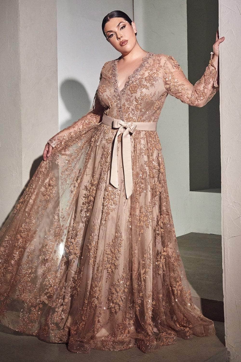 Ladivine CD233C - Long Sleeve A-Line Formal Gown - Prom