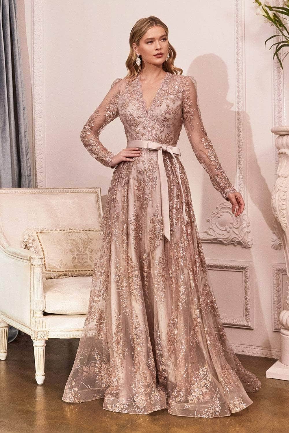 Ladivine CD233C - Long Sleeve A-Line Formal Gown - Prom