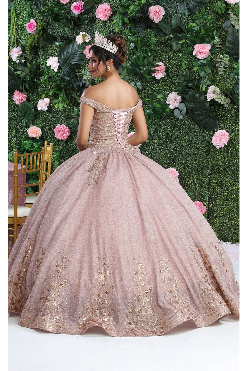 Plus Size Formal Quinceanera Gown by LK280 main image 1