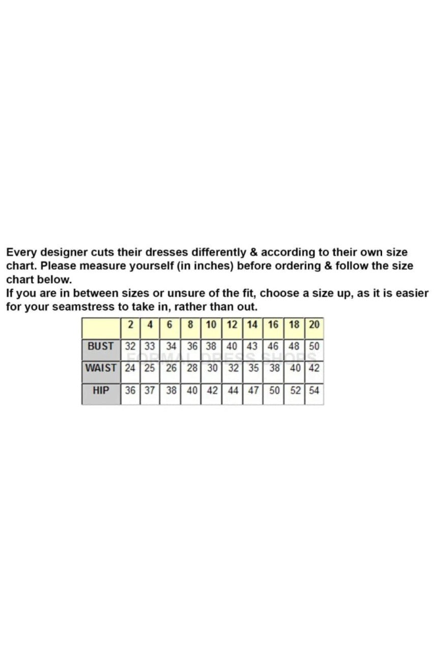 May Queen MQ2025 Lace Appliqued Spaghetti Strap Glitter Hoco Dress - Dress