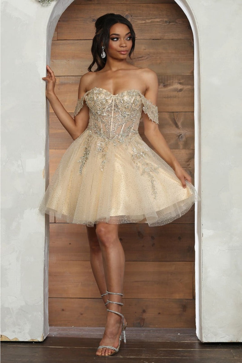 Dama Dresses for Quinceanera in Champagne Cute Quince Outfit-New Colle