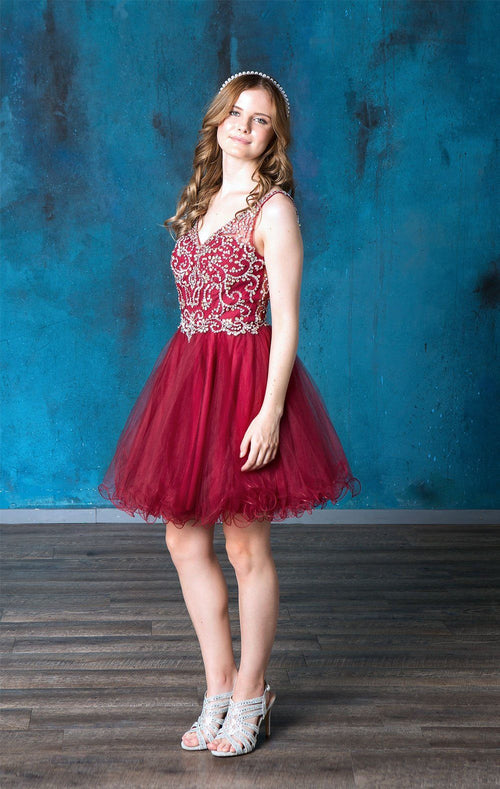 Ruffled Short V-Neck Tulle Dress by Calla Collection – KY72071