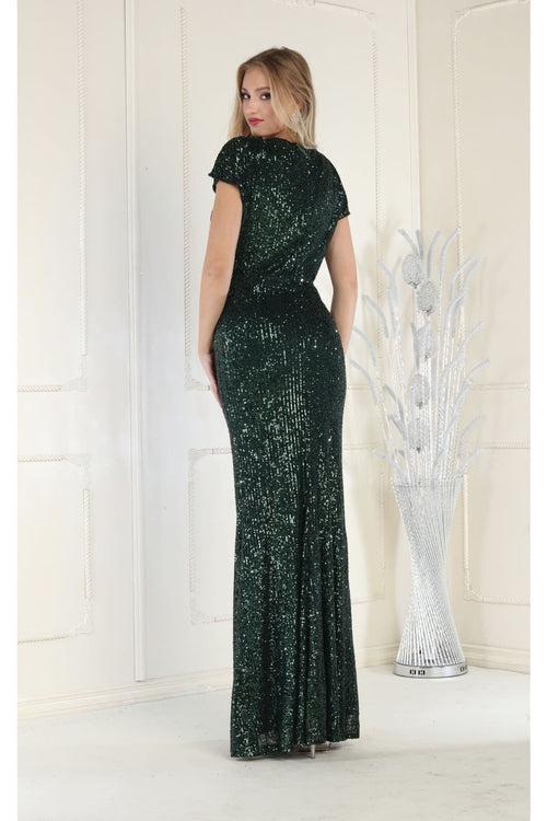 Shimmering Long Evening Dress & Plus Size