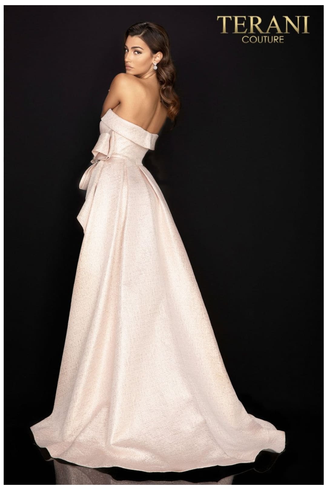 Terani Couture 2011E2073 Formal Overskirt Gown-Long and Elegant - Rose Gold / 4