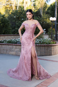 Embroidered Dresses