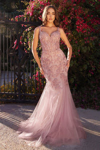 Quinceanera Mom Dresses