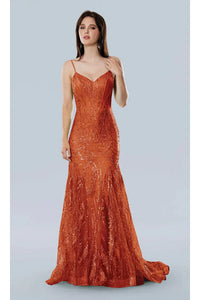 Mesh Prom Dresses