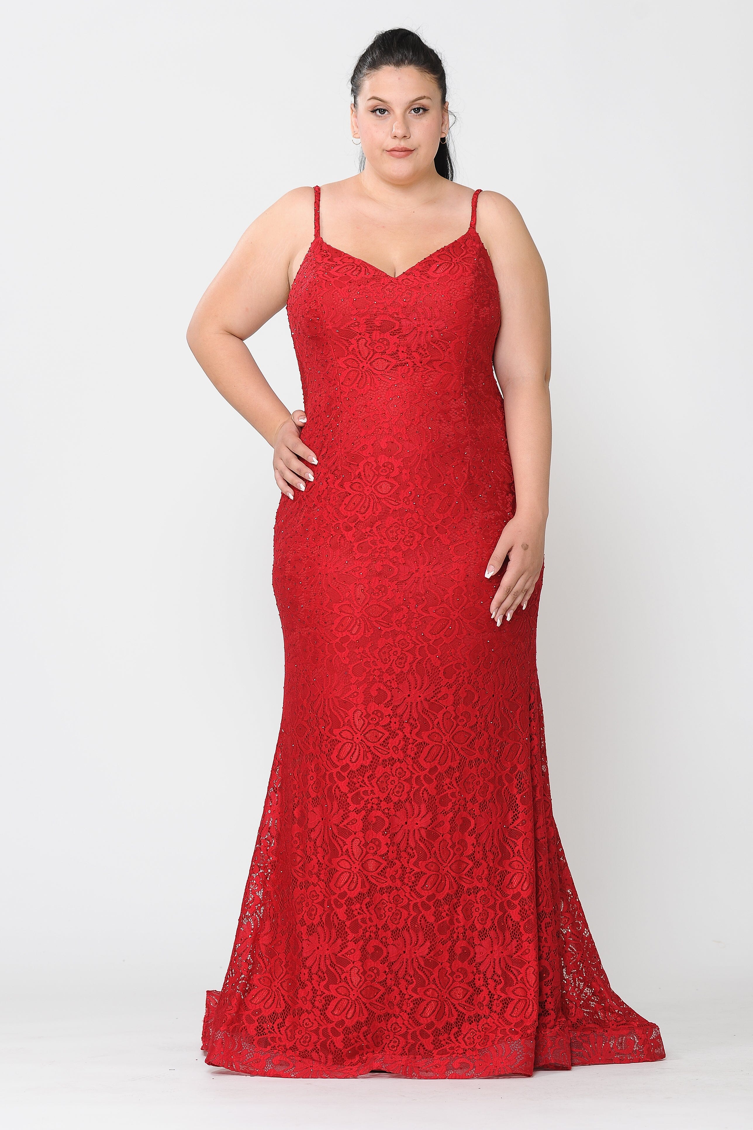 Lace Plus Size Dress