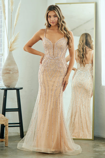 Embellished Illusion V-Neck Mermaid Gown with Beaded Tulle Overlay By Amelia Couture 2132