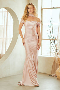 Amelia Couture Blush Long Formal Dresses
