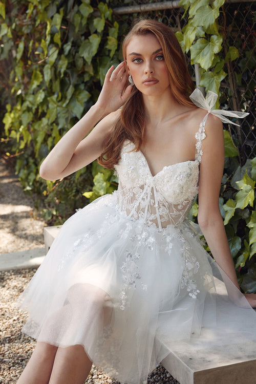 Juliet 972LW Embellished Applique Illusion Bodice A-Line Dress