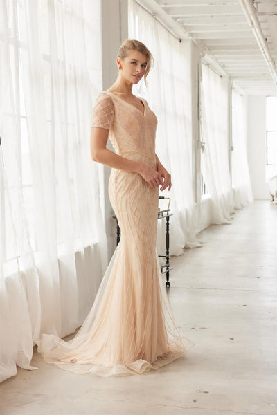 Heavy Beading V-Neckline Short Sleeves Sweep Train Trumpet Evening Gown by Nox Anabel MH162