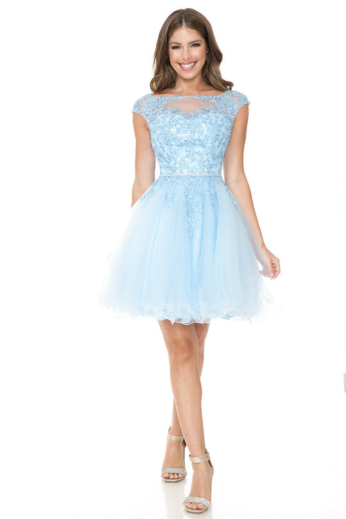 Short Tulle Party Dress with Lace Bodice & Illusion Scoop Neckline By Lenovia 8177