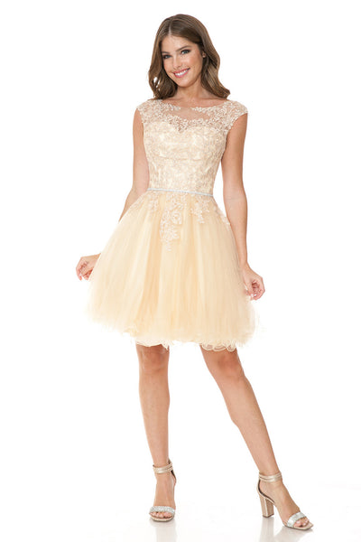 Short Tulle Party Dress with Lace Bodice & Illusion Scoop Neckline By Lenovia 8177