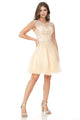 Short Tulle Party Dress with Lace Bodice & Illusion Scoop Neckline By Lenovia 8177