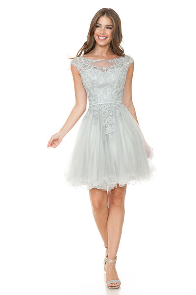 Short Tulle Party Dress with Lace Bodice & Illusion Scoop Neckline By Lenovia 8177