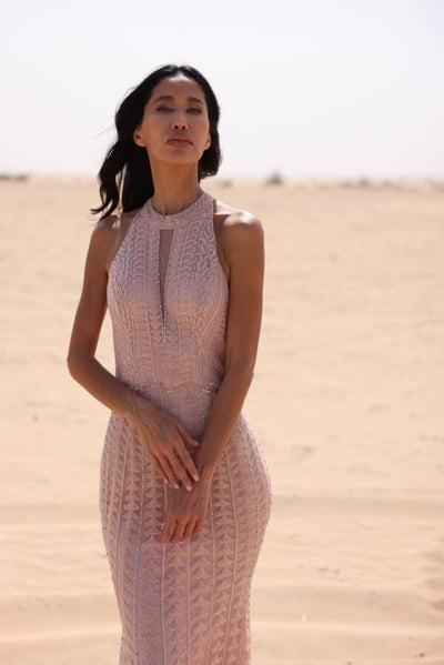 Chic and Holland BLUSH Dress