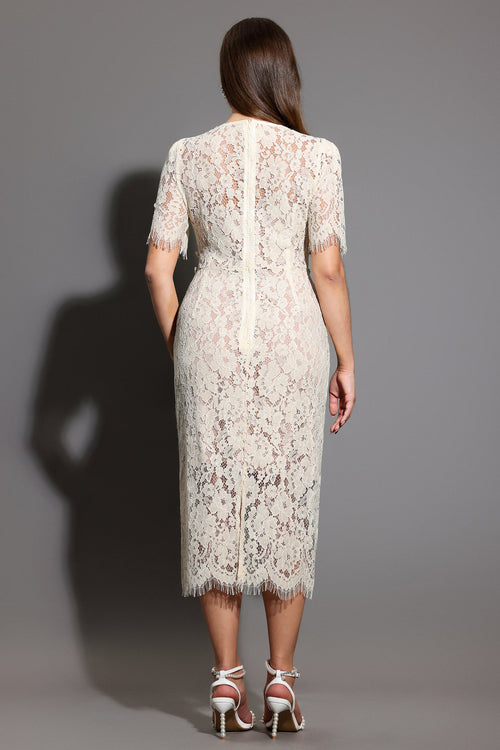 Bella Barnett C-Dresses