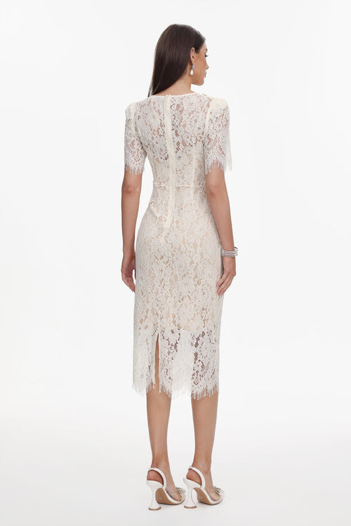 Bella Barnett C-Dresses