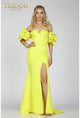 Graceful Terani Couture 231p0181 Ruffle Formal Prom Dress Long & Elegant
