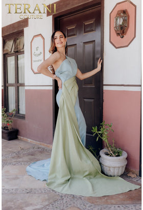 Terani Couture 232E1276 Elegant Glamorous Formal Prom Long Evening Premium Dress