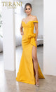 Terani Couture 241P2017 Fitted Evening Gown-Formal Length