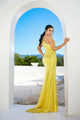 Terani Couture 241P2137 One-Shoulder Bodycon Prom Gown with Style
